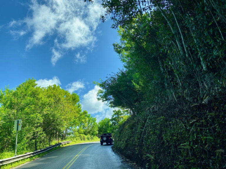 Driving the Road to Hana Best Deals Now