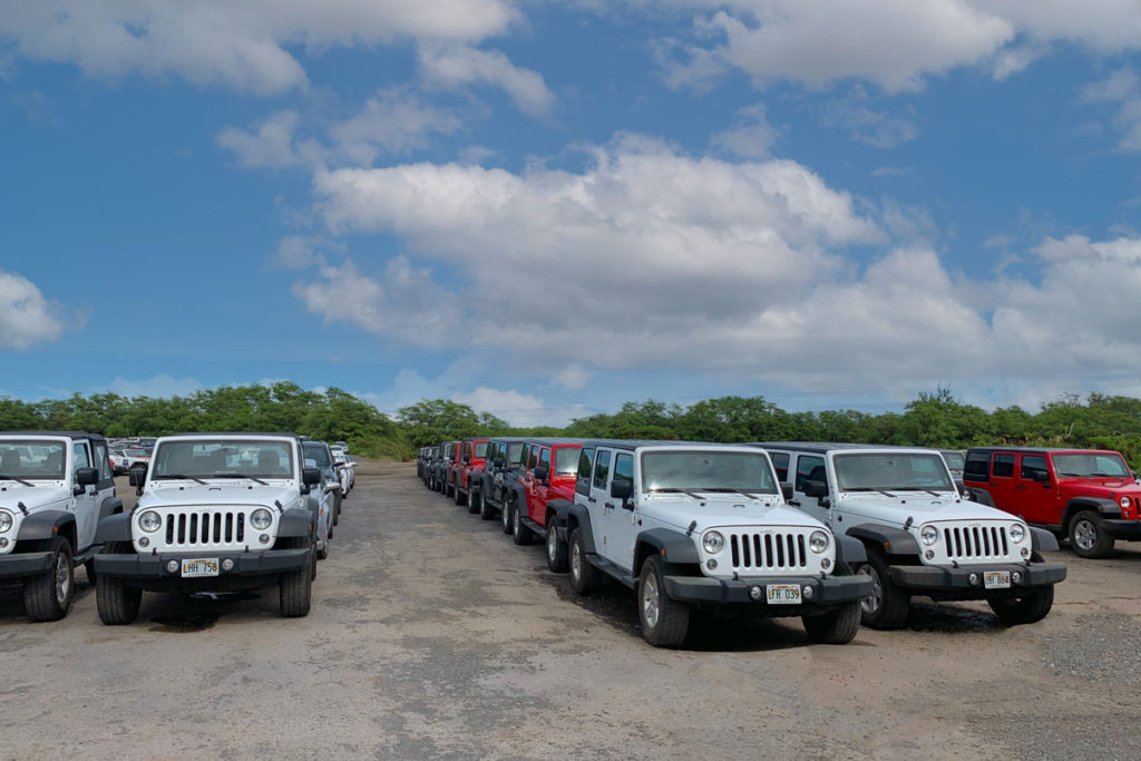 Vehicle rental lot at the airport on Maui