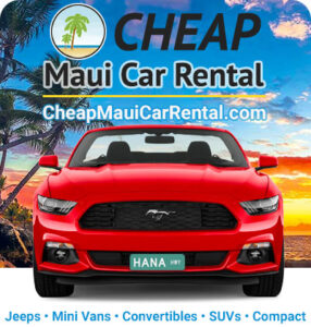 Driving the Road to Hana | Best Deals Now | mauicarrental.com