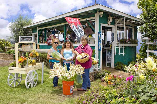 farm stand on Maui