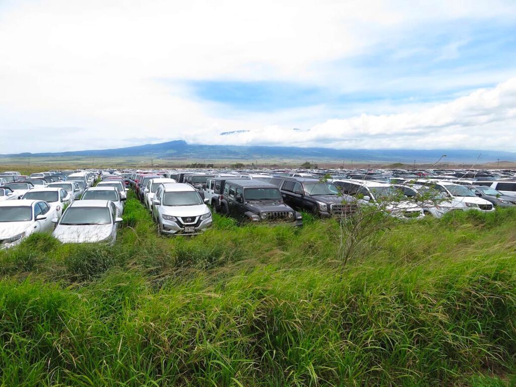 parked rental cars after maui fire