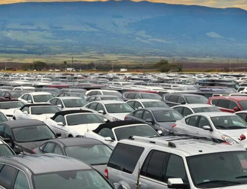 Discover Abundant Car Rental Choices as Maui Bounces Back!